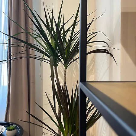 Repose Spot Apartment
