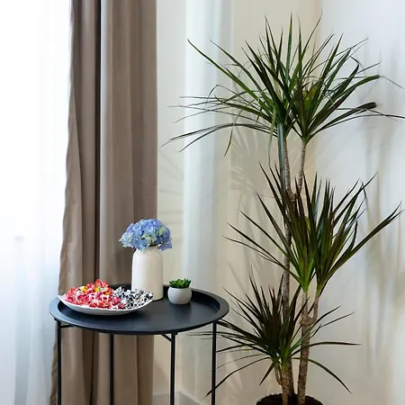 Apartment Repose Spot Cluj-Napoca
