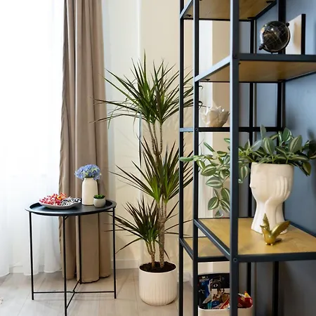 Repose Spot Apartment *