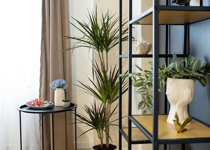 Repose Spot Апартаменты *