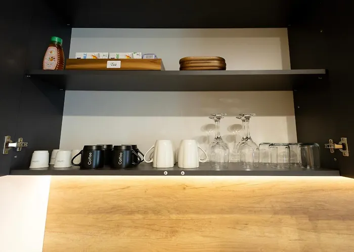 Repose Spot 클루지나포카